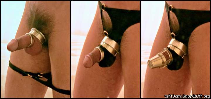 Cock Armour 1