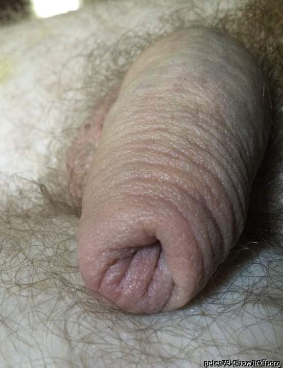 Photo of a wiener from peter79