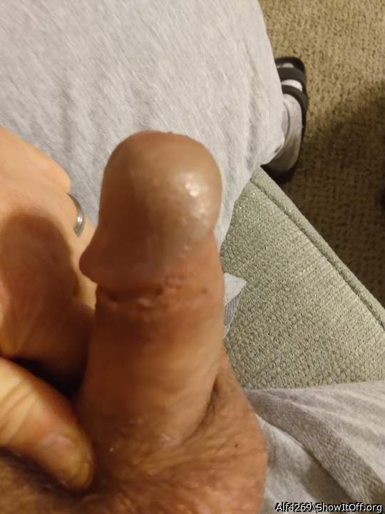 Photo of a dick from Alf4269