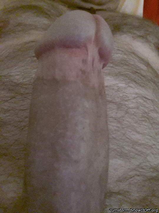 my cock