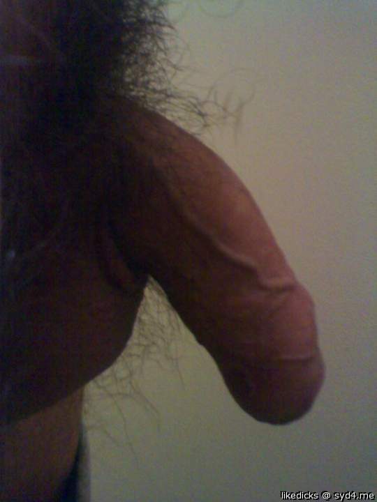 Photo of a meat stick from likedicks