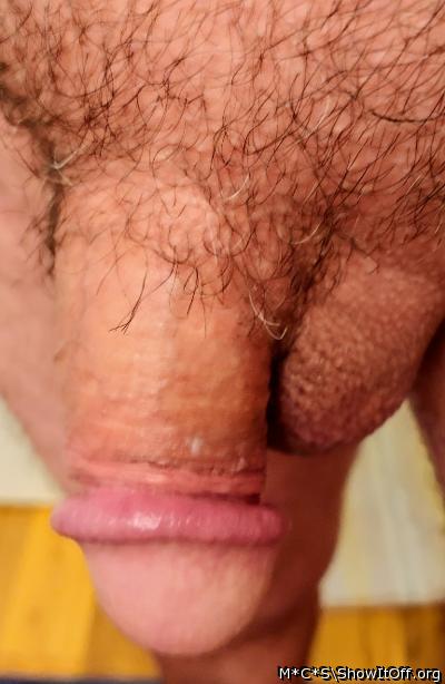 Photo of a ram rod from M*C*S
