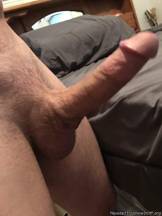 Gorgeous cut dick 