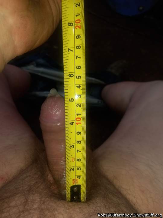 Photo of a weasel from Rob1988farmboy