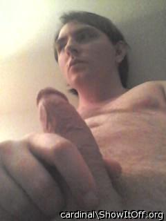 Photo of a tool from cardinal