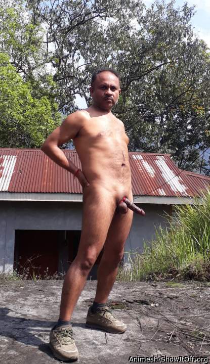 Photo of a middle leg from Animesh