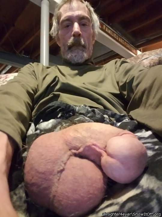 wonderful muscle fat eggs