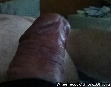Photo of a horn from Wheeliecock