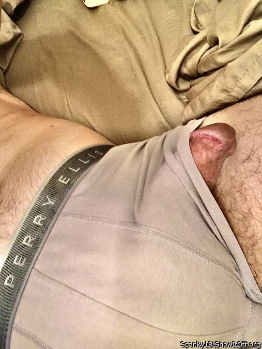 Photo of a snake from Spanky18