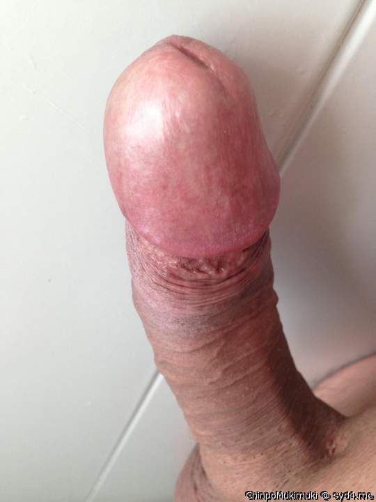 Photo of a cock from ChinpoMukimuki
