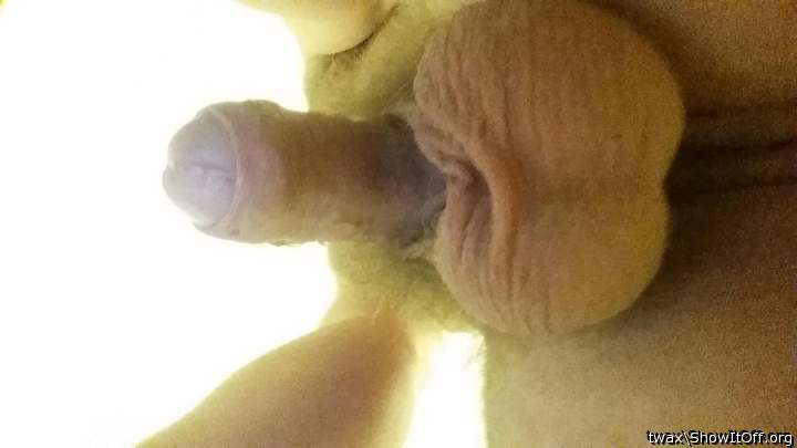 Photo of a bat from twax