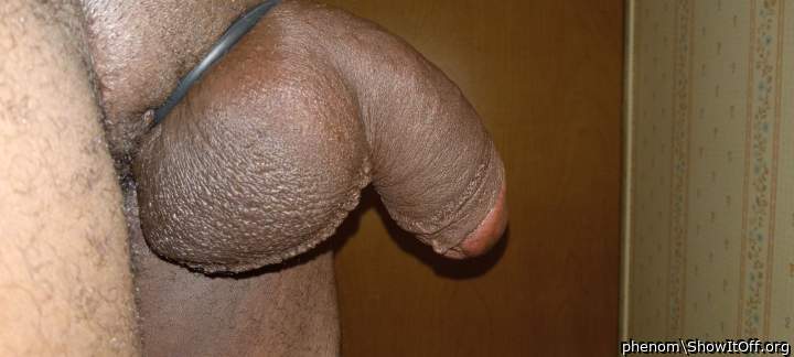 Photo of a hot dog from phenom