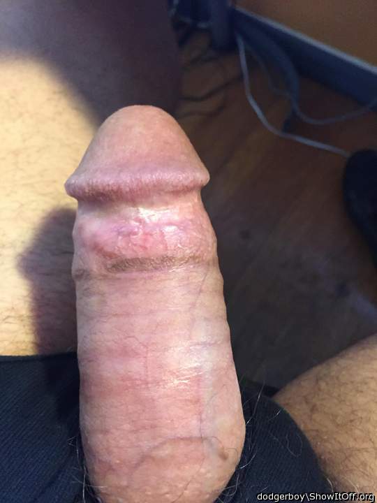 Photo of a horn from dodgerboy