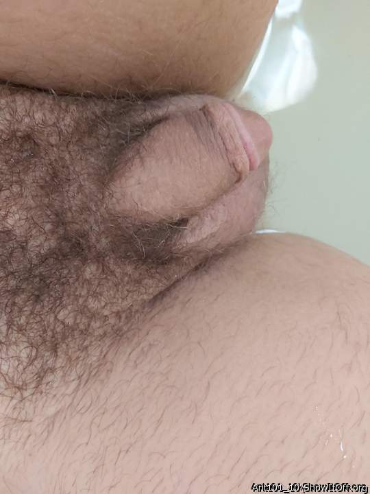 I like your pubic hair, looks fully grown