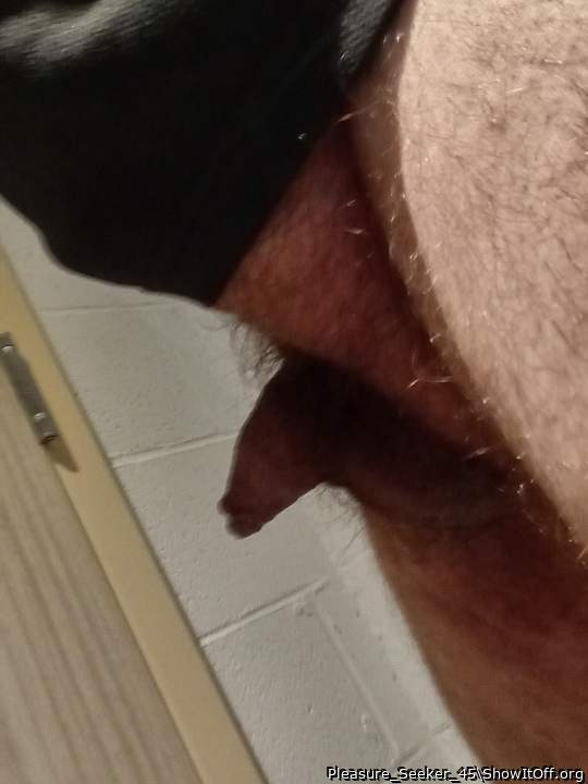 Photo of a cavalier from Pleasure_Seeker_45