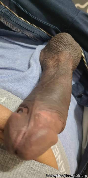 Photo of a bat from Hornydick