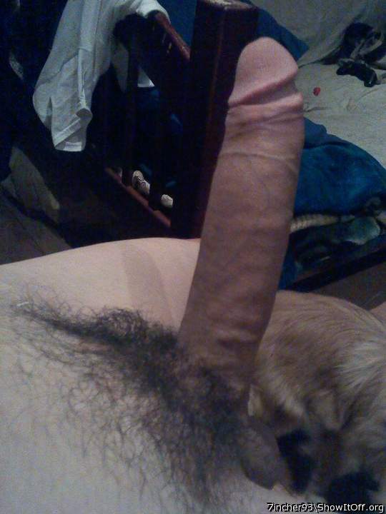 imagine me in porn id do great