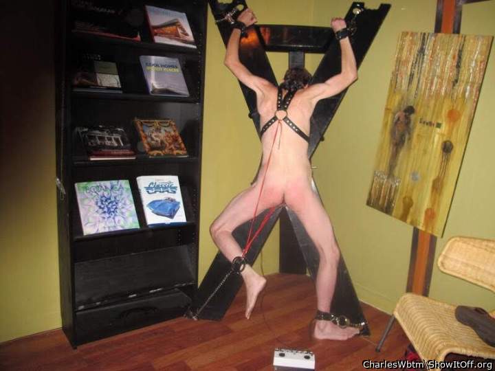 Adult image from CharlesWbtm