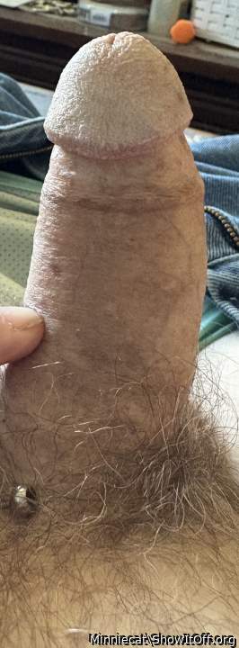 Photo of a penile from Minniecat