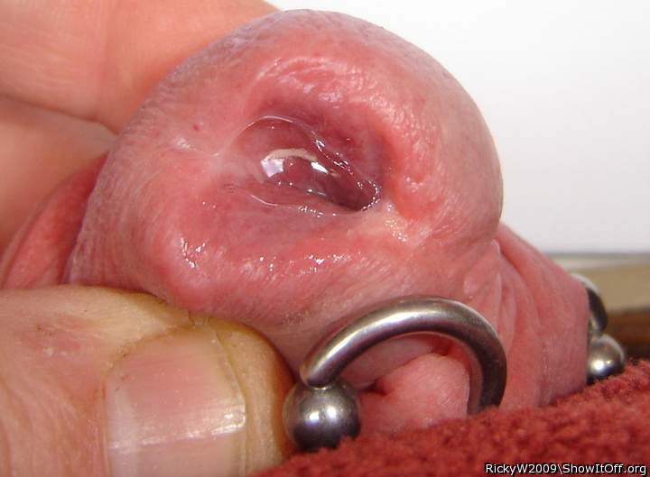 Photo of a phallus from RickyW2009