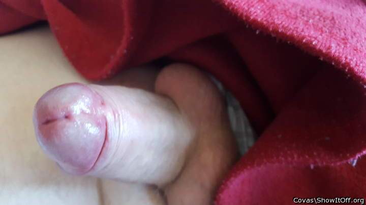 Photo of a meat stick from covas