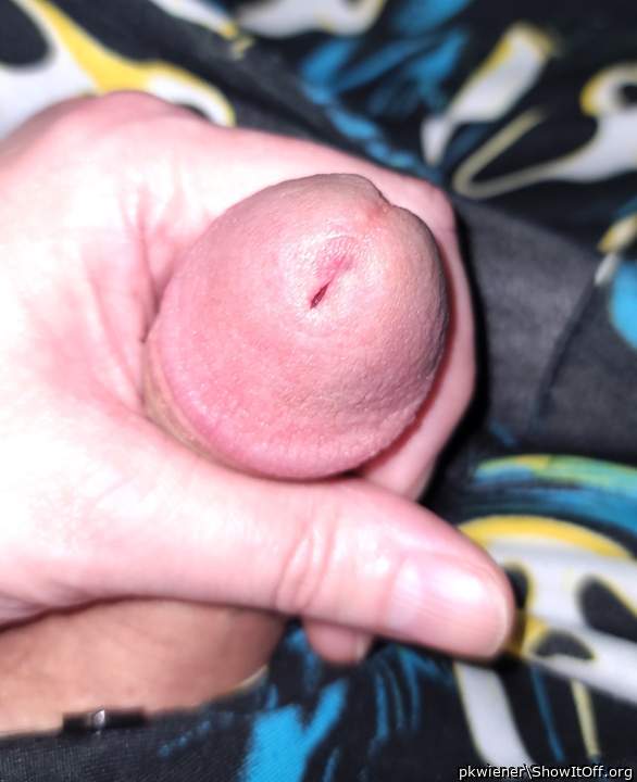 Photo of a dong from pkwiener