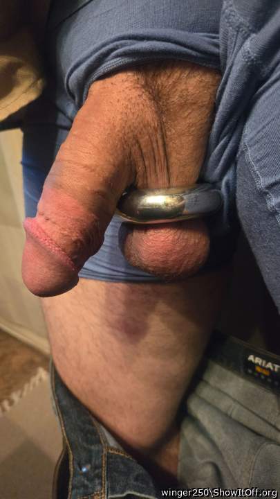Photo of a middle leg from winger250