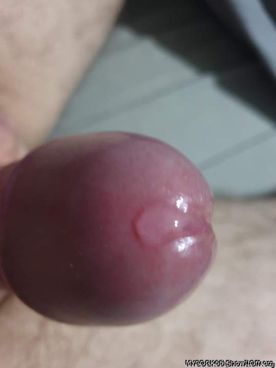 Photo of a prick from MYCOCK66