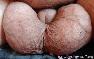 Photo of a boner from M*C*S