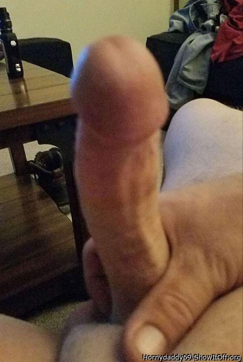 Photo of a horn from Hornydaddy69