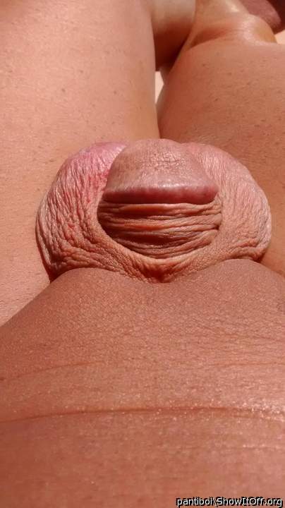 who like to fondle the li'l peewee?