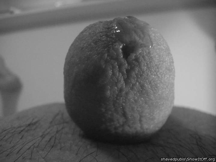 Photo of a penis from shavedpubis
