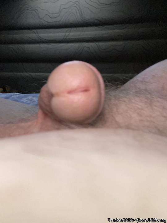 I like the view of your Urethra