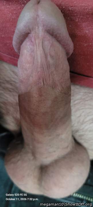 Photo of a cock from megaman10