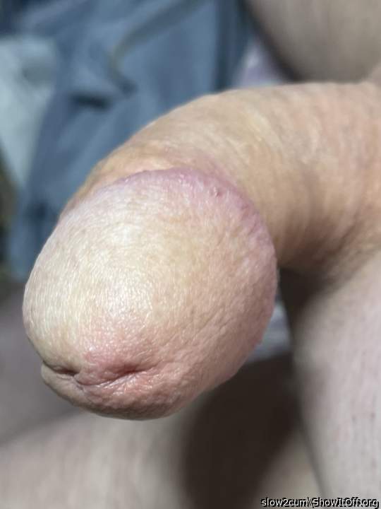Great head closeup !! 