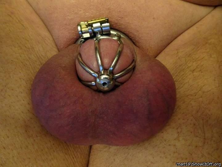 My cage