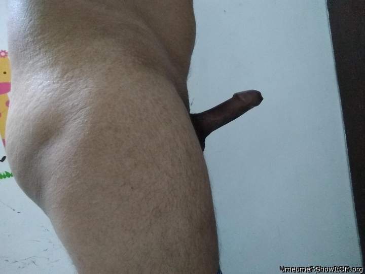 Photo of a third leg from umeumef