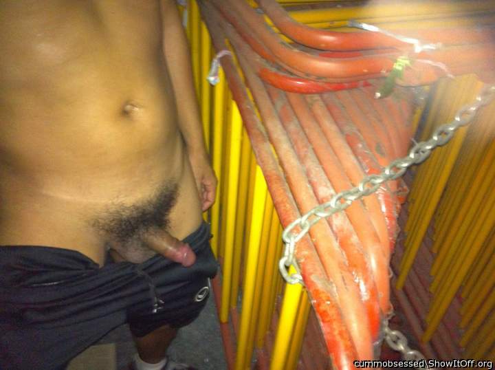 Photo of a cavalier from cummobsessed