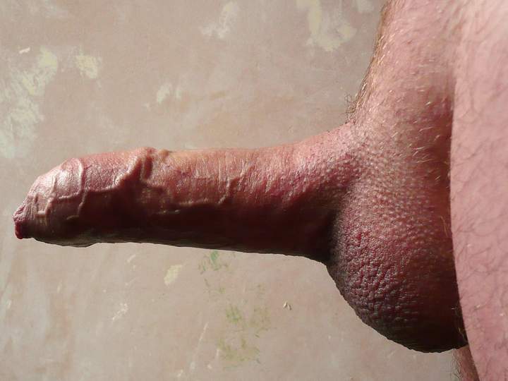 i like clean shaven uncut cocks  