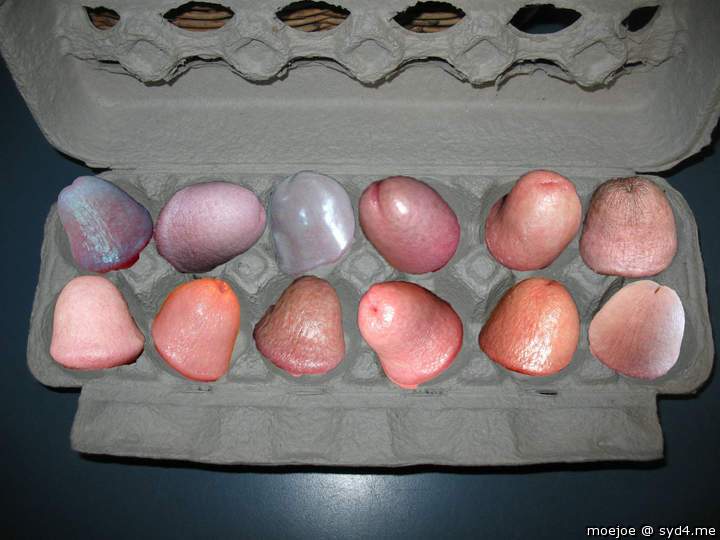 A dozen heads.......