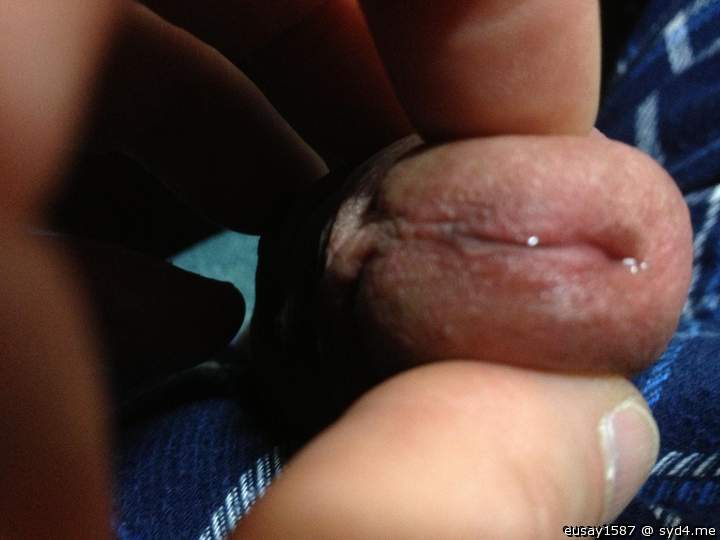 Photo of a sausage from eusay1587