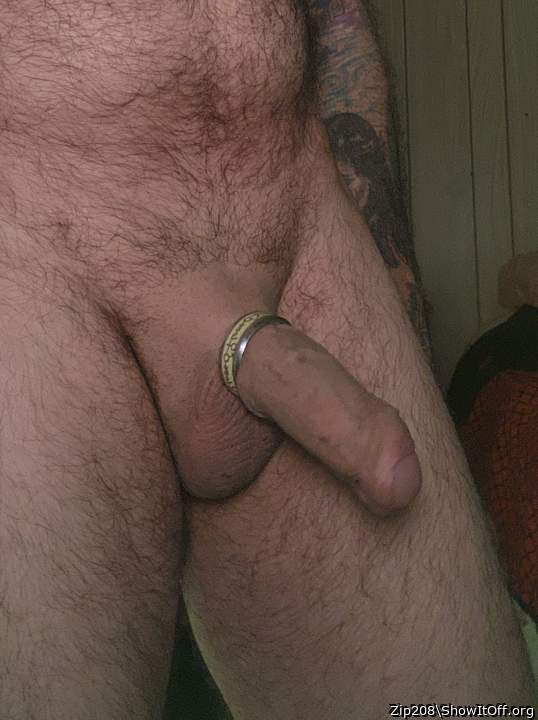Photo of a weasel from Zip208