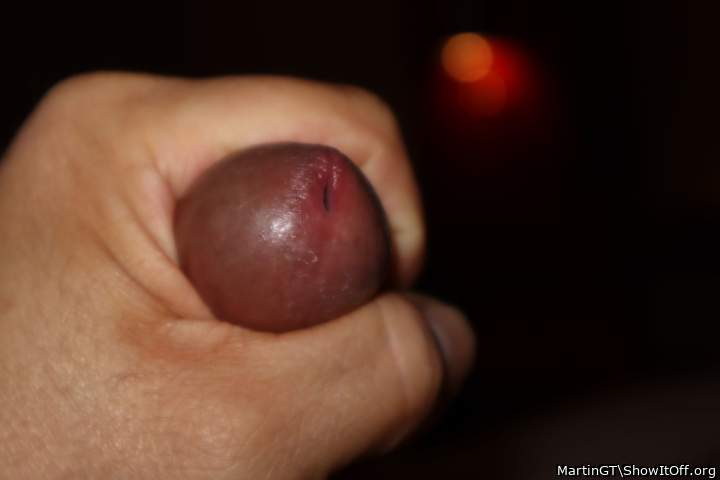 Photo of a middle leg from MartinGT
