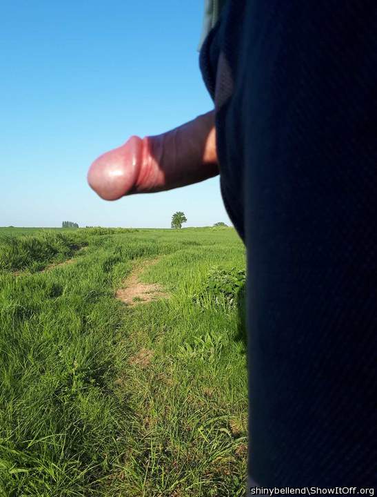 Needs Wanking Off