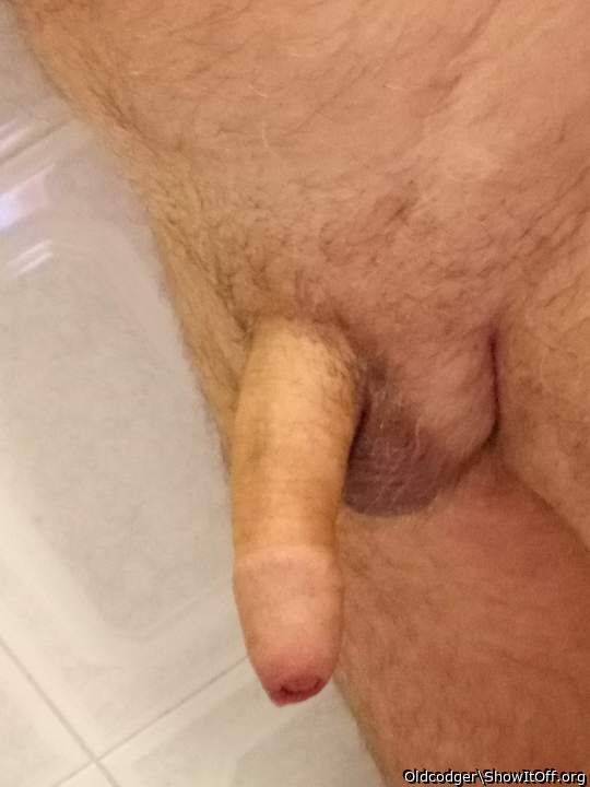 Restful cock
