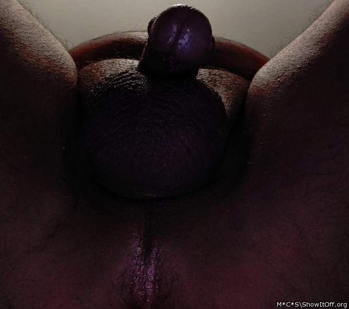 Photo of a cock from M*C*S