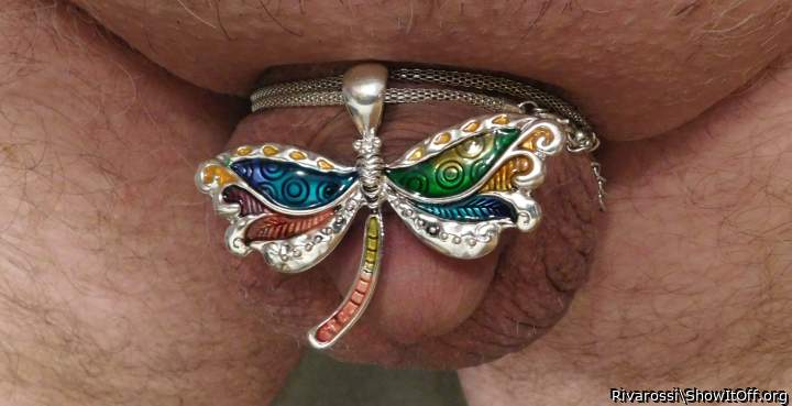 Dragon Fly