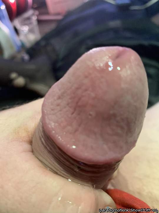 Photo of a python from paradigmofkink