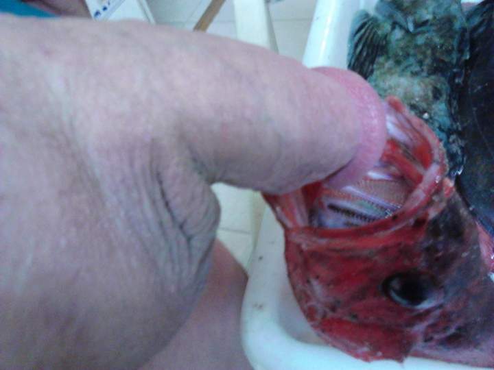 Photo of a power tool from fish4free