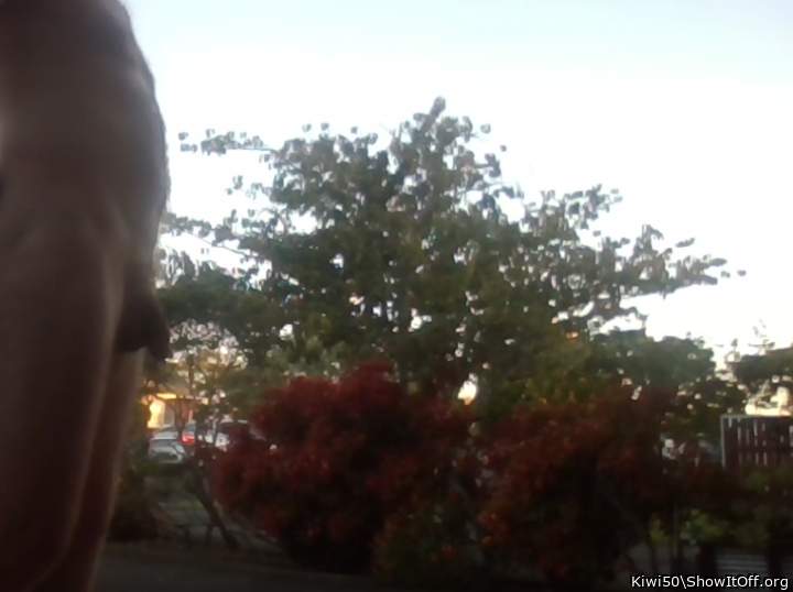 Front lawn with cars driving past.